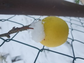 Veszem kalapom...ha már nem szedtél le