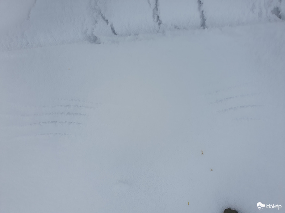 Angyalszárny helyett...madárka szállott fel