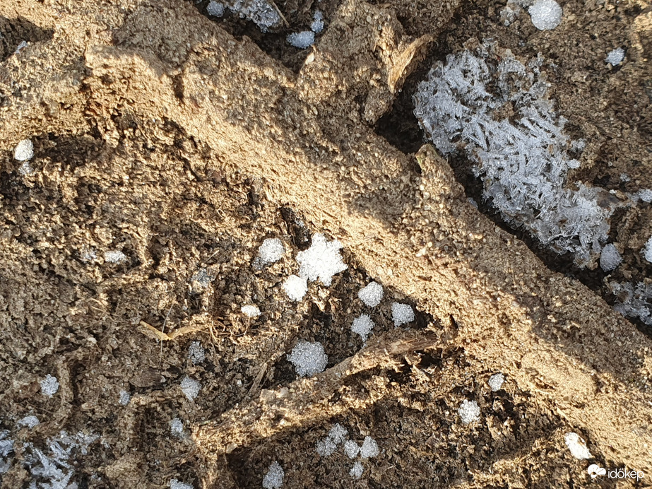 BÚÉK 2026...Csillaghullás volt éjjel ;)