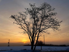 Kedvenc képkivágásom munkahelyem kapujában
