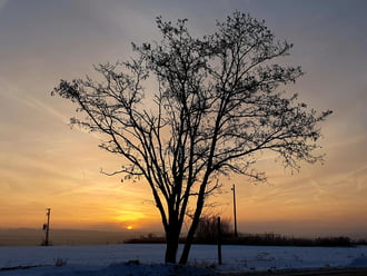 Kedvenc képkivágásom munkahelyem kapujában