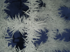 Zúzmarás szép jó reggelt!❄️