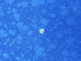 Amikor a csillagokat is lehoznád érte...