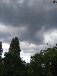 Szárliget