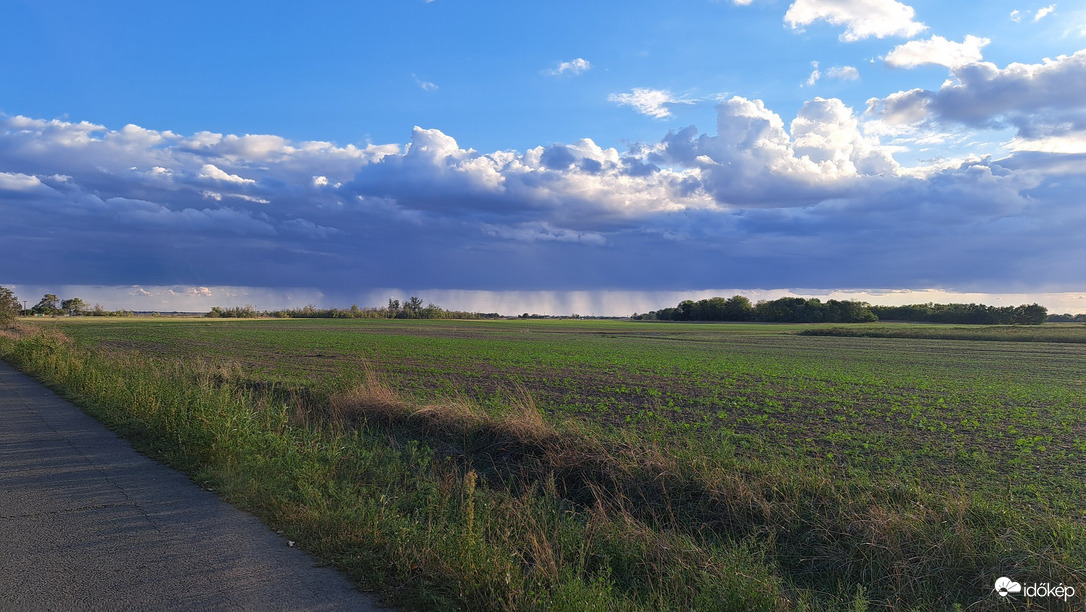 Székkutas