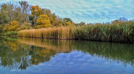 Ősz a Tisza-tavon 