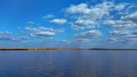 Kékség