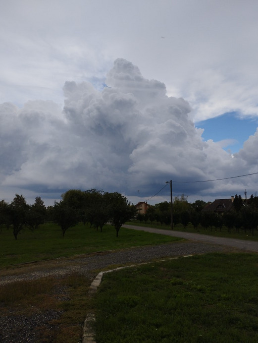 Észlelési fényképek