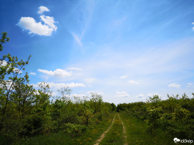 Észlelési fényképek