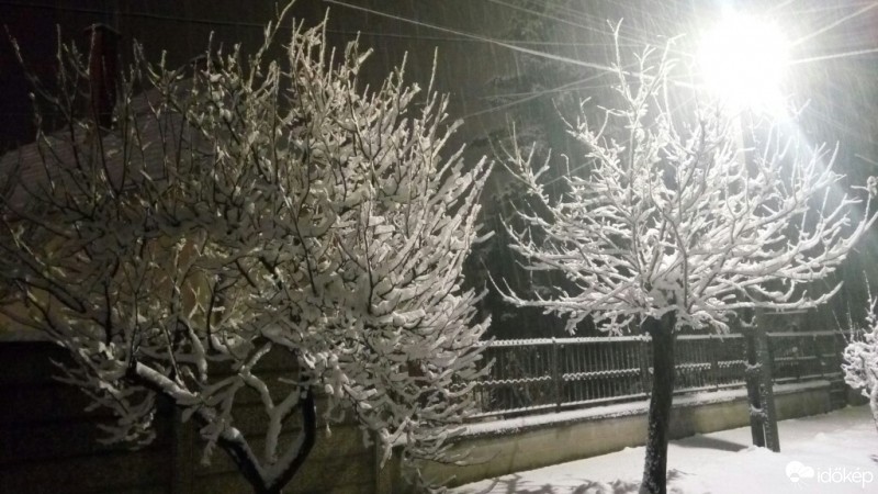 Észlelési fényképek