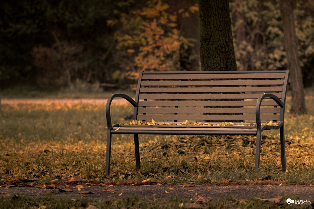 Őszi csendélet IV.