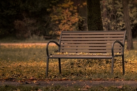 Őszi csendélet IV.