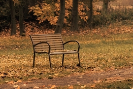 Őszi csendélet II.