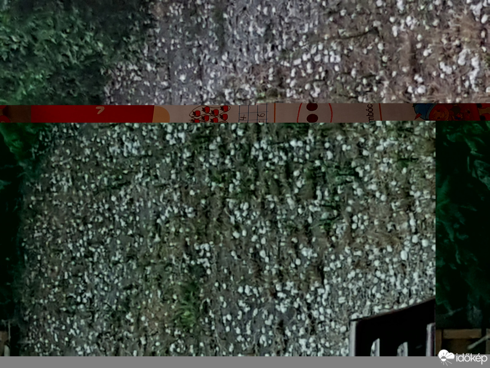 Észlelési fényképek