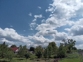 Csurgó