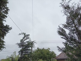 Csurgó