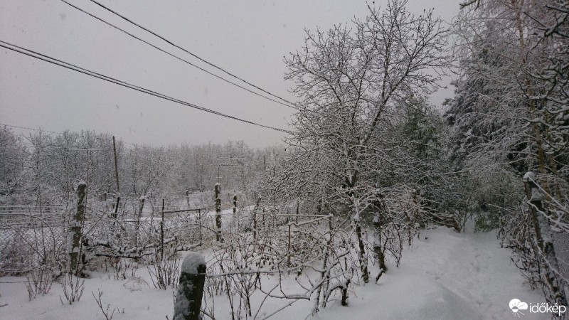 Észlelési fényképek