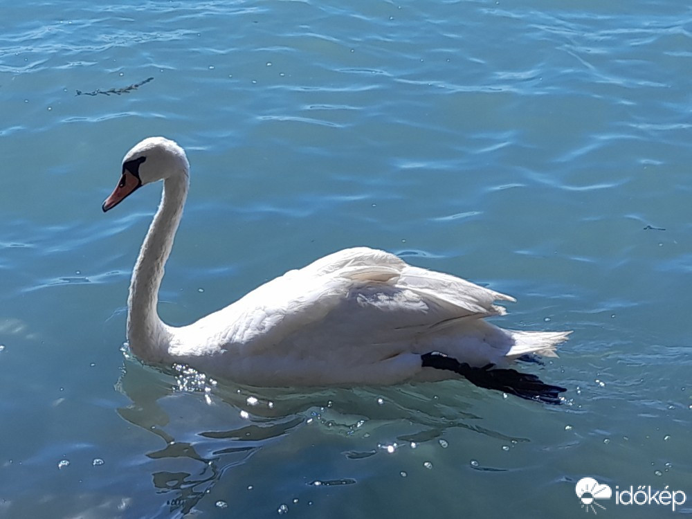 Balatonfüred