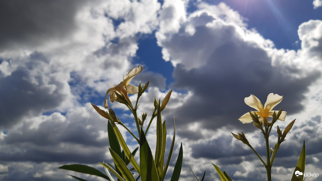 Szeged, Leander és a felhők
