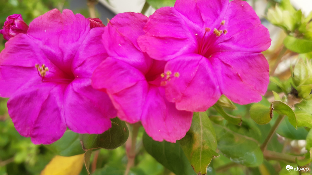 Hármas ikrek vagyunk ;)