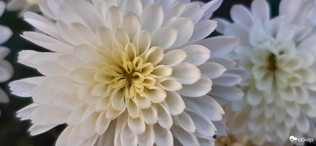 Akadt még számomra, mi lenyűdözött :)