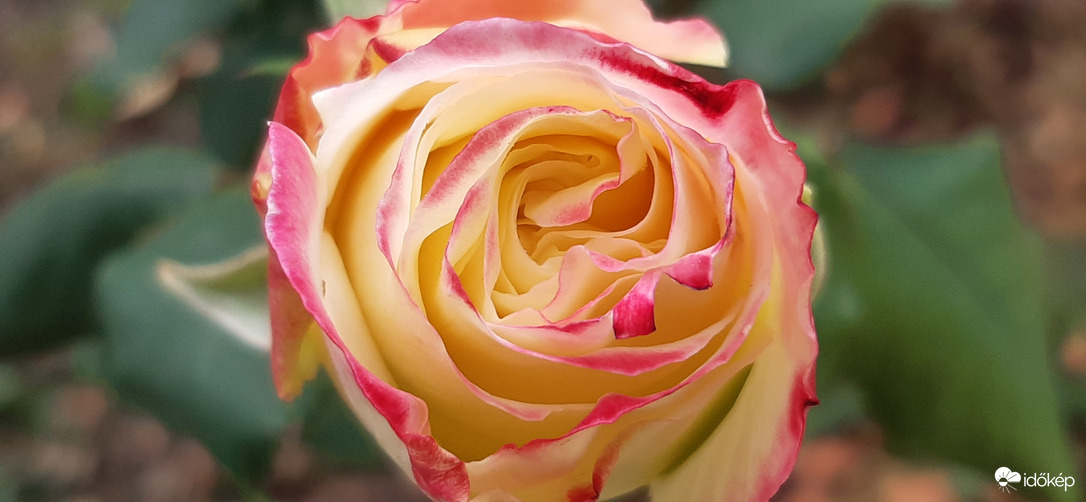 A legszebb, az egyetlen, ami még... :)