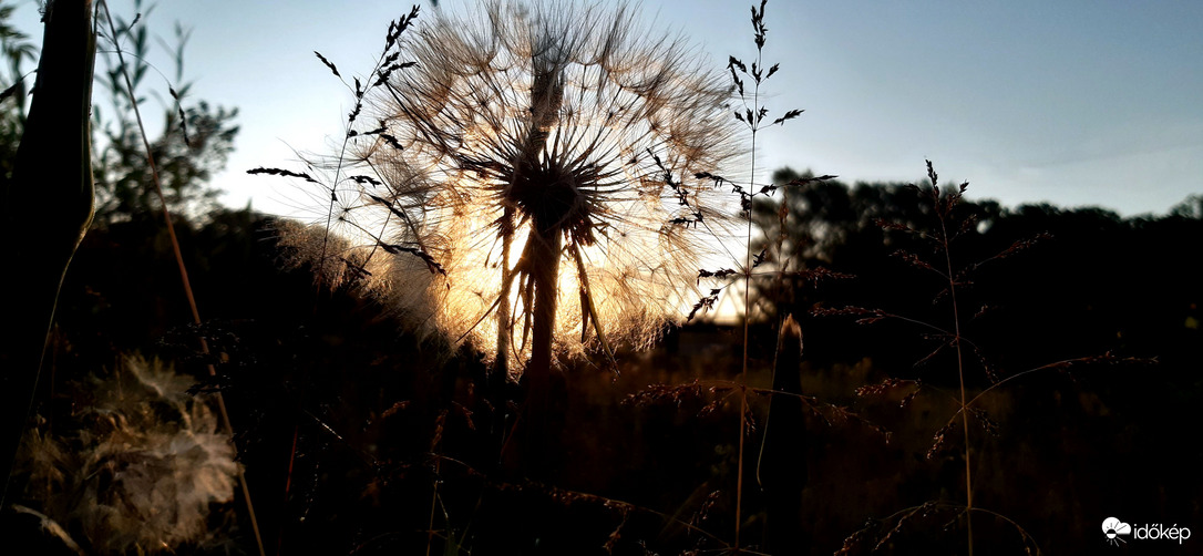 Hajnal a természetben :)