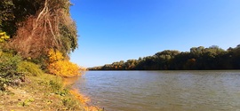 Algyő, Tisza