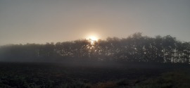 Délalföld
