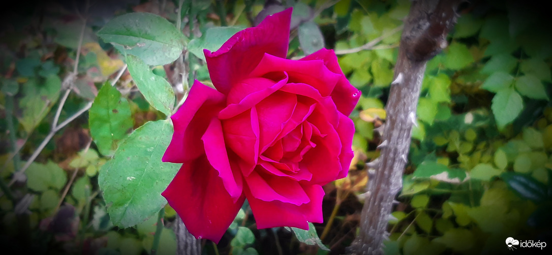 ...én, még tartom magam.. :)