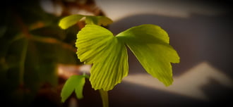 Vééégre! Süt a nap a kis ifjoncomra :))