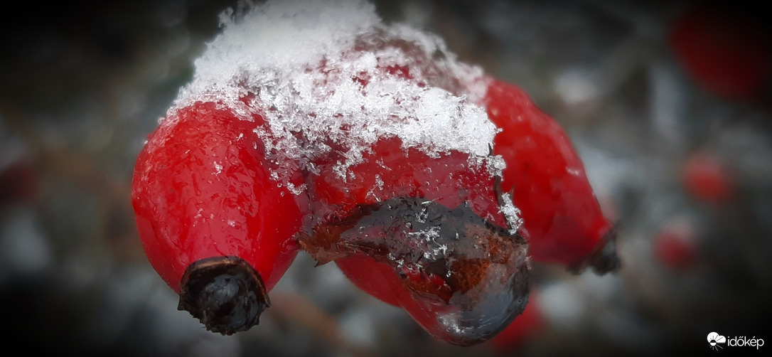 Megcsíptek, szedhetsz :))