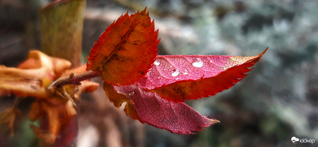 Cseppek és egy mosoly :)