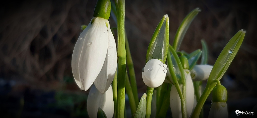 Téli napsütésben.. :)