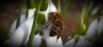 Tavasz?! Tél?! Zümikém biztos tudja :)