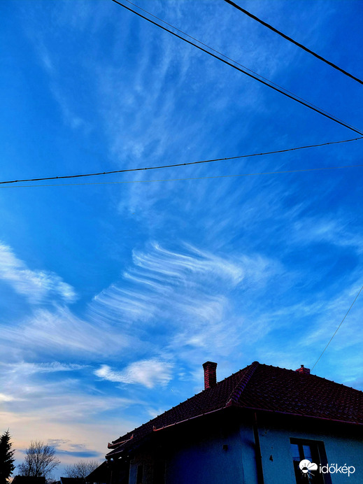 Délutáni szépség 