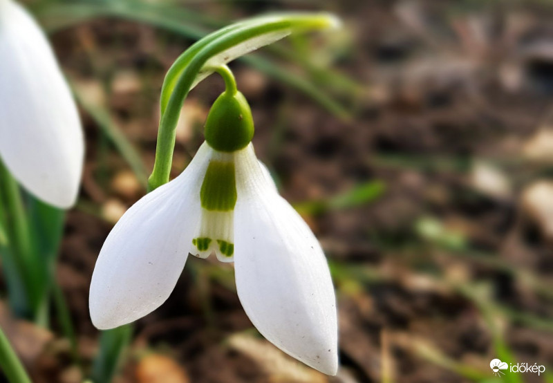 Azok a zöld szemek :)