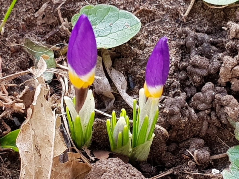 Beindultak a rakéták :)