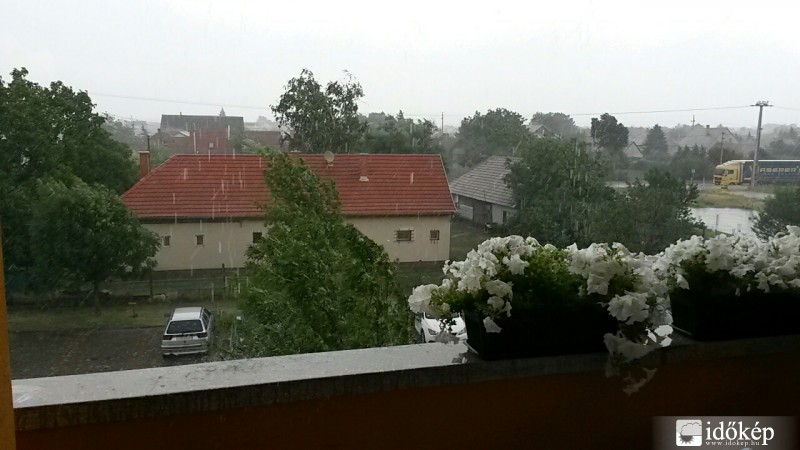 Észlelési fényképek