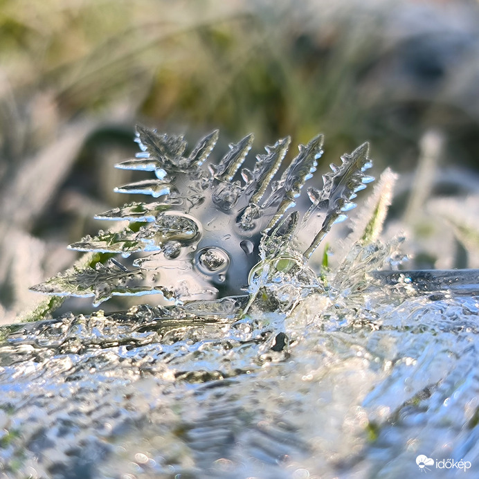 Ha elmúlik karácsony, ... Az avarvilágban nem múlt el még