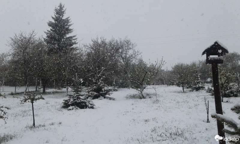 Észlelési fényképek