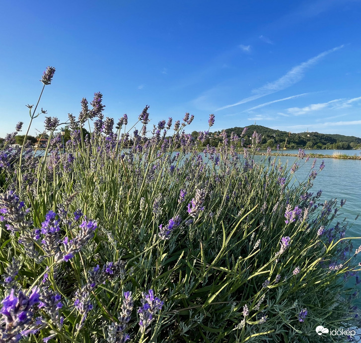 Balaton