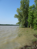 Áradó Duna 