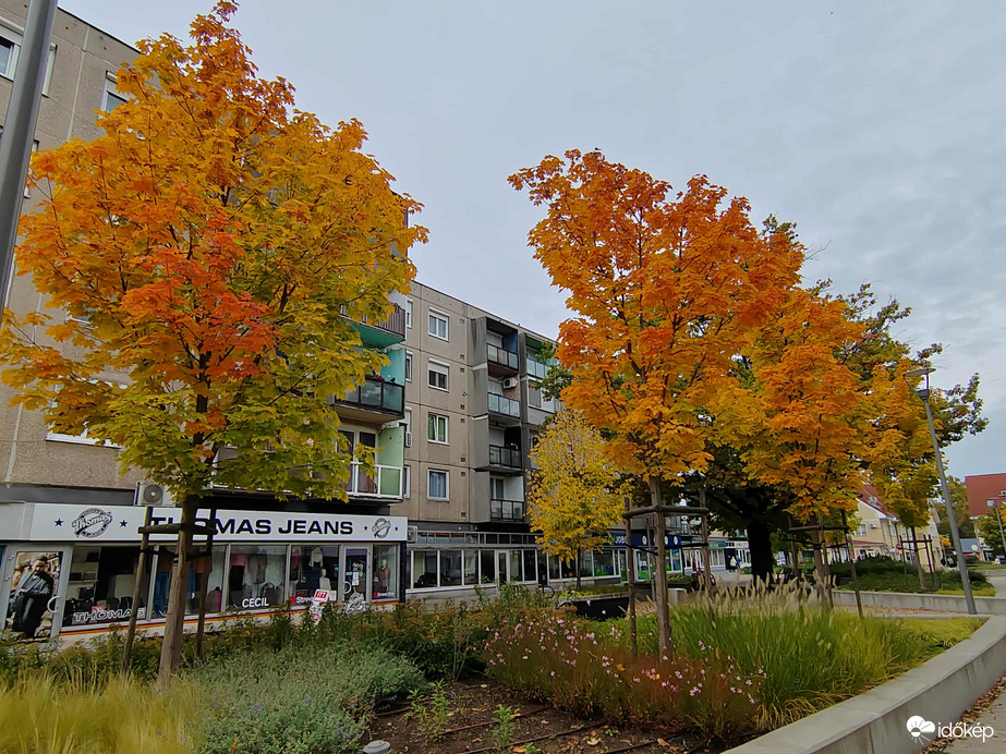 Sétáló utcánk kezd színesedni....
