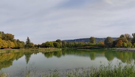 Egy kis őszi séta...