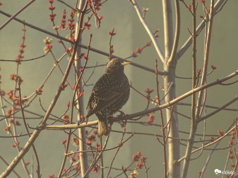 Idén is visszatért...