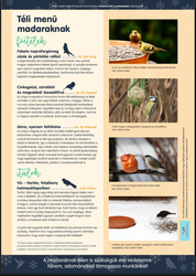 Téli menü madaraknak