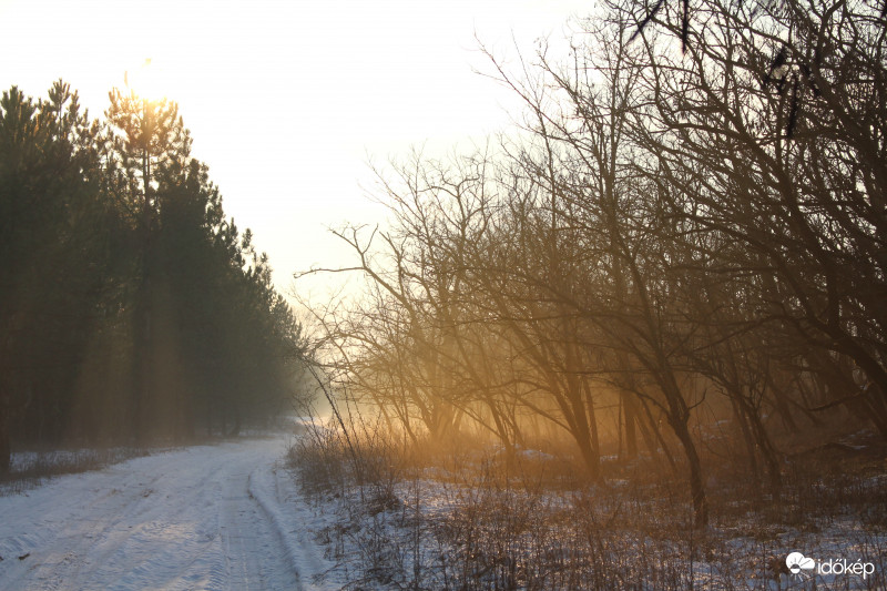 Észlelési fényképek
