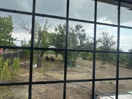 Markaz