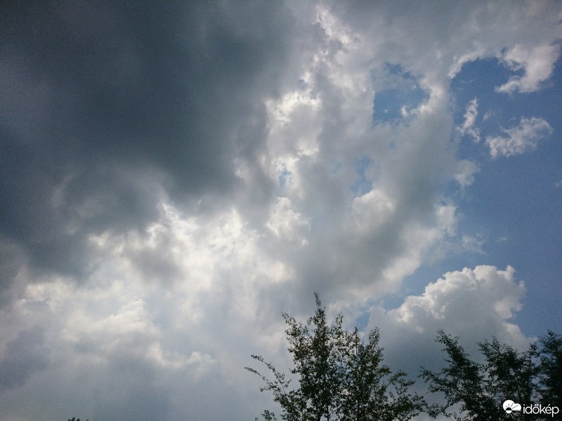 Észlelési fényképek